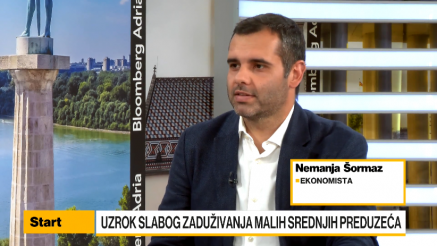 Šormaz: Mala i srednja preduzeća se okreću kreditima da bi pregurala, naročito u auto-industriji