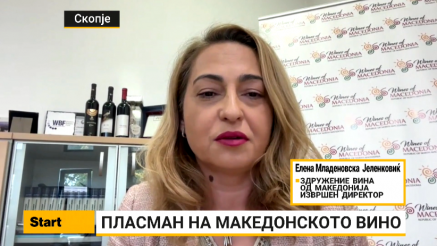 Младеновска Јеленковиќ: За македонското вино да стане интернационален бренд, потребна e стратегија