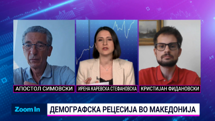 Демографска рецесија - причини, последици и решенија