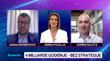 Porezne pogodnosti ključne za bh. dijasporu i razvojna šansa