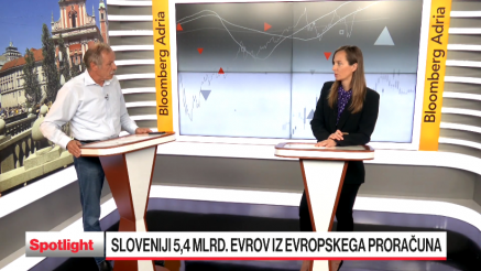 Razdeljevanje evropskega denarja: kdo bo komu zvijal roke?