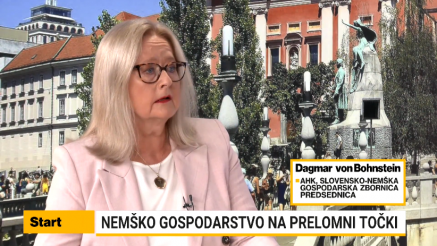 Von Bohnstein: Nemško gospodarstvo v dolgo pričakovanem procesu prilagajanja