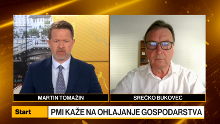 Bukovec: Za upad indeksa PMI več razlogov, ki kažejo na ohlajanje gospodarstva