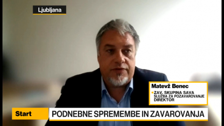 Benec: Zavarovanja bodo verjetno morala v smeri javno-zasebnih partnerstev