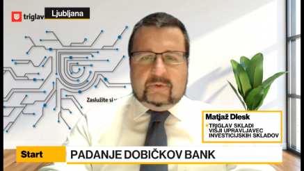 Dlesk: Bistveno večje povpraševanje po kreditih ohranilo obrestne prihodke NLB
