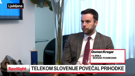 Cene slovenskih delnic bodo tudi v prihodnje še rastle