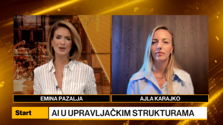 Karajko: Lideri u BiH: AI još uvijek izvan procesa odlučivanja