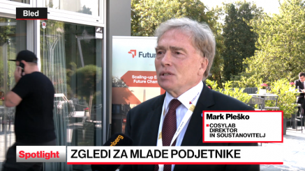 Nedelujoč evropski enotni trg ovira do globalnega preboja evropskih podjetij