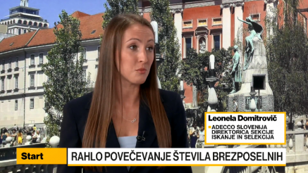 Domitrovič: Kljub rahli rasti števila brezposelnih težave pri iskanju delovne sile