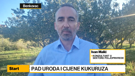 Malić: Ratari se trebaju okrenuti navodnjavanju, voćarstvu i povrtlarstvu