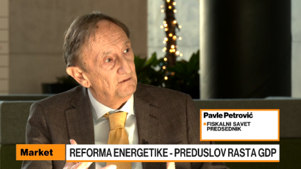 Petrović: Za rast GDP-a potrebne reforme u energetici