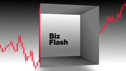 BizFlash