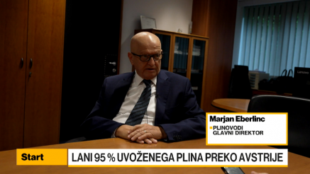 Eberlinc: Oskrba s plinom v EU in Sloveniji je dobra