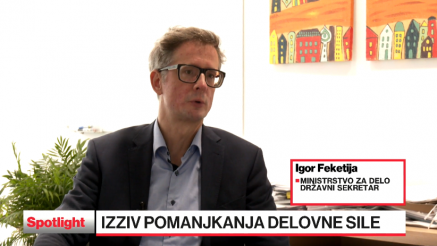 Pomanjkanje delovne sile bo v prihodnje vplivalo na kakovost življenja v Sloveniji