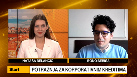 Beriša: Banke su zabilježile rast potražnje za kreditima poduzeća