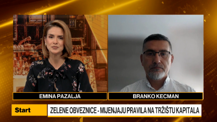 Kecman: Presudno napraviti sistemski pristup za zelene obveznice