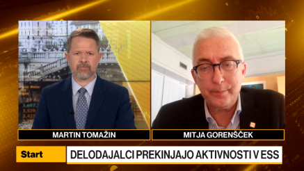 Gorenšček: Božičnica je izbila sodu dno, zato zamrznitev aktivnosti v ESS