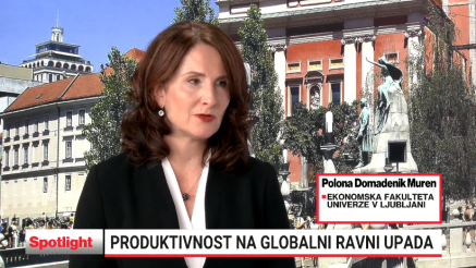 Kako preživeti in uspeti na trgu dela? 