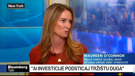 Rekordno zaduživanje AI giganata radi finansiranja investicija - AI bum ili mehur?