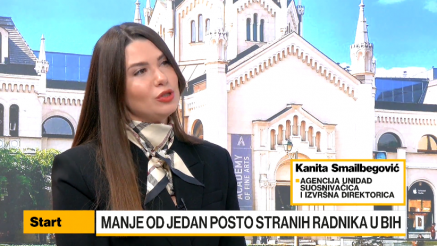 Smailbegović: U planu lakše procedure za zapošljavanje stranih radnika u BiH