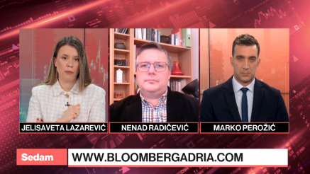 Radičević: Američka diplomatija ima manje standardan, a više poslovni pristup