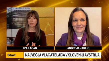 Jaklič: Spekter tujih neposrednih naložb mora ostati širok