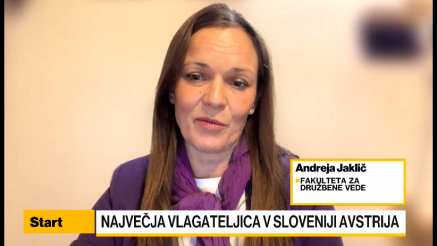 Jaklič: Spekter tujih neposrednih naložb mora ostati širok