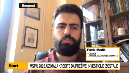 Medić: Nepovoljno okruženje za MSP, tek oko 7% imalo značajnije investicione poduhvate u 2025.